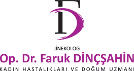 Faruk Dinçşahin Logo